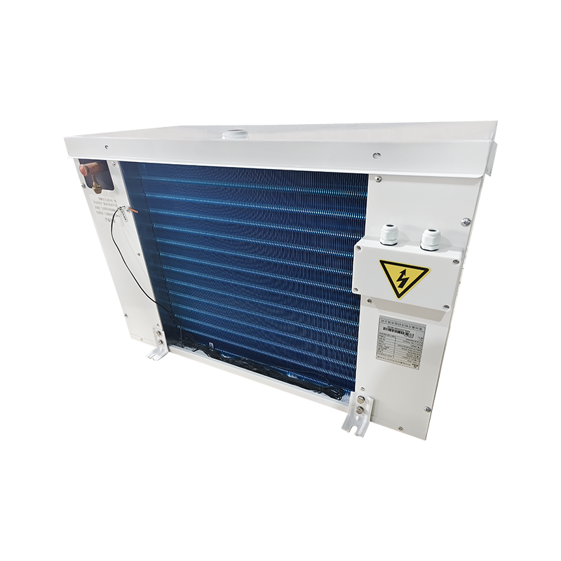 Mababang Temperatura (-18~-35℃) High Energy Efficiency Evaporator