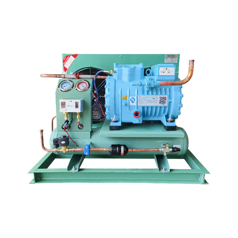 Katamtaman hanggang mababang temperatura Air Cooling Condensing Unit
